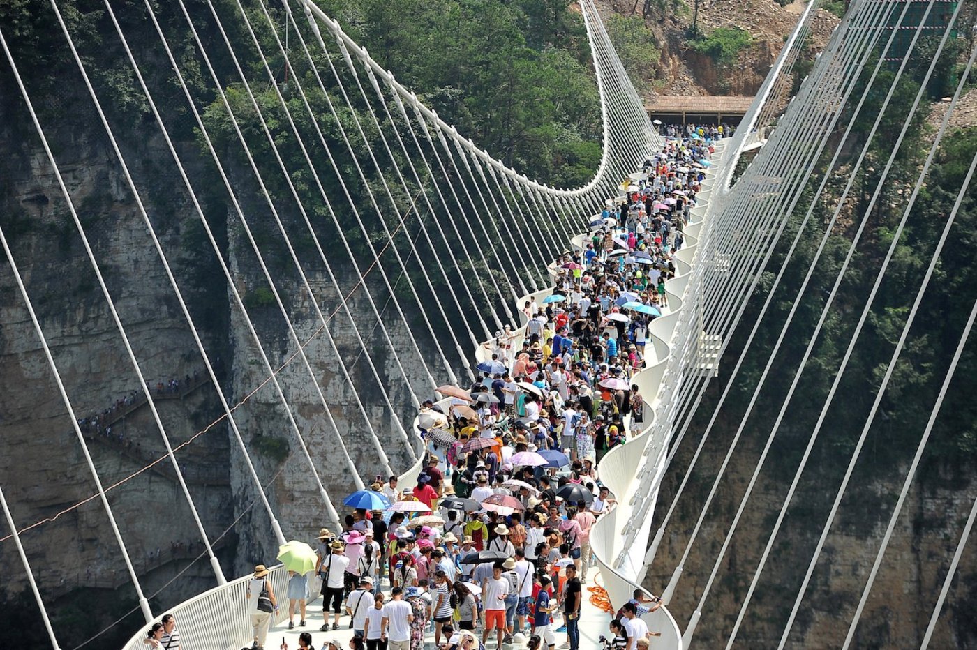World's longest glass bridge abruptly closes just two ...